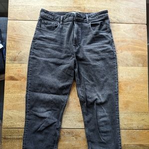 Everlane The Curvy Cheeky Jean